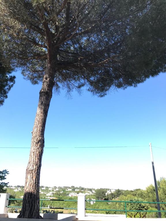 Trullo dal Commendatore room 1